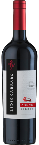 Vinho do Dia